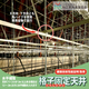IPROS_TaishinKK_4-01.jpg