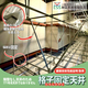IPROS_TaishinKK_2-01.jpg