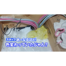 ?C値を徹底解説 画像9.png