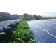 ?雑草が太陽電池モジュールの上にかかっている.JPG