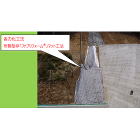 10a.png