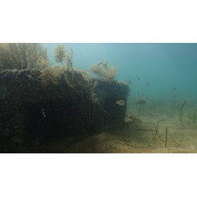 ?モバブルー 画像4.png