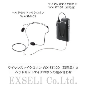 WX-SM405-2.jpg