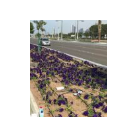 中東における8.PNG