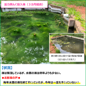 サブ?.png
