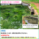 サブ?.png