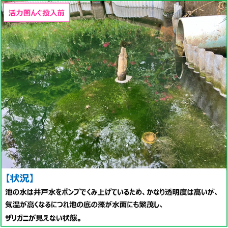 サブ?.png