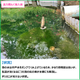 サブ?.png