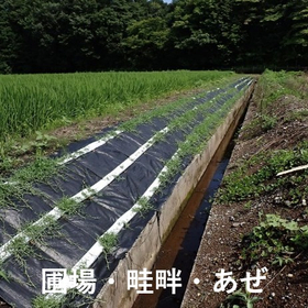 イジゲンシート-05.jpg