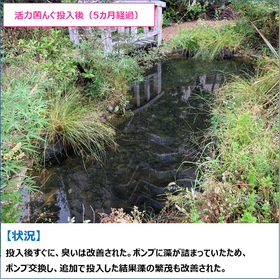 サブ?.png