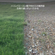薄綿6.png