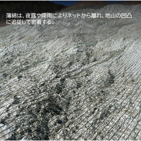 薄綿3.png