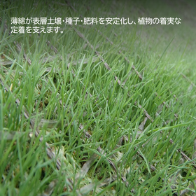 薄綿4.png