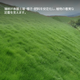 薄綿5.png