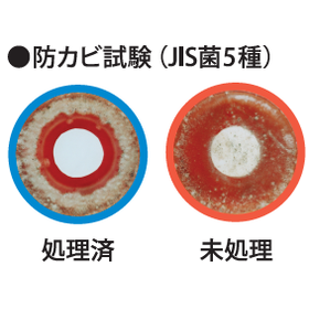 シーカウォール2.png