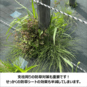 例?.png