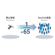 gr_starlinkbusiness_feature01.png