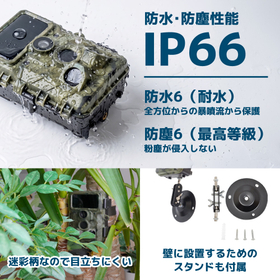 autm26hgr-7.jpg