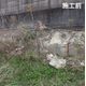 硬化テキメン-3-2.JPG