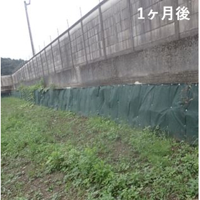 硬化テキメン-3-1.JPG