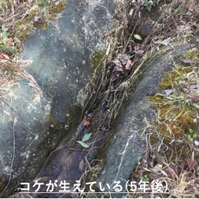 硬化テキメン-5-5.JPG