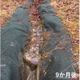 硬化テキメン-5-3.JPG