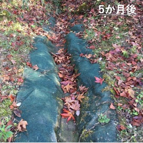 硬化テキメン-5-2.JPG