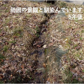 硬化テキメン-5-4.JPG