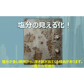 ソルトリッパー2.png