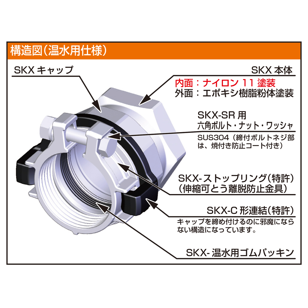 即決【進化する癒楽心体療法の秘密 検査編】DVD全3枚 松本