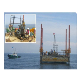 ?RIコーン 画像2.png