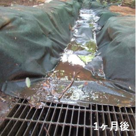 硬化テキメン-4-5.JPG