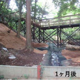硬化テキメン-4-4.JPG
