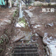 硬化テキメン-4-2.JPG