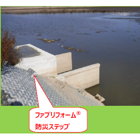 9a.png
