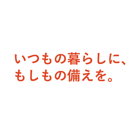 TELUMAイスタ_アートボード 22-26.png