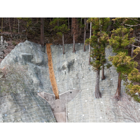 トップページ用_ロンストロングネット写真 施工後.JPG