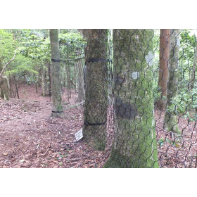 スクリーンショット 2026-02-25 185525.png